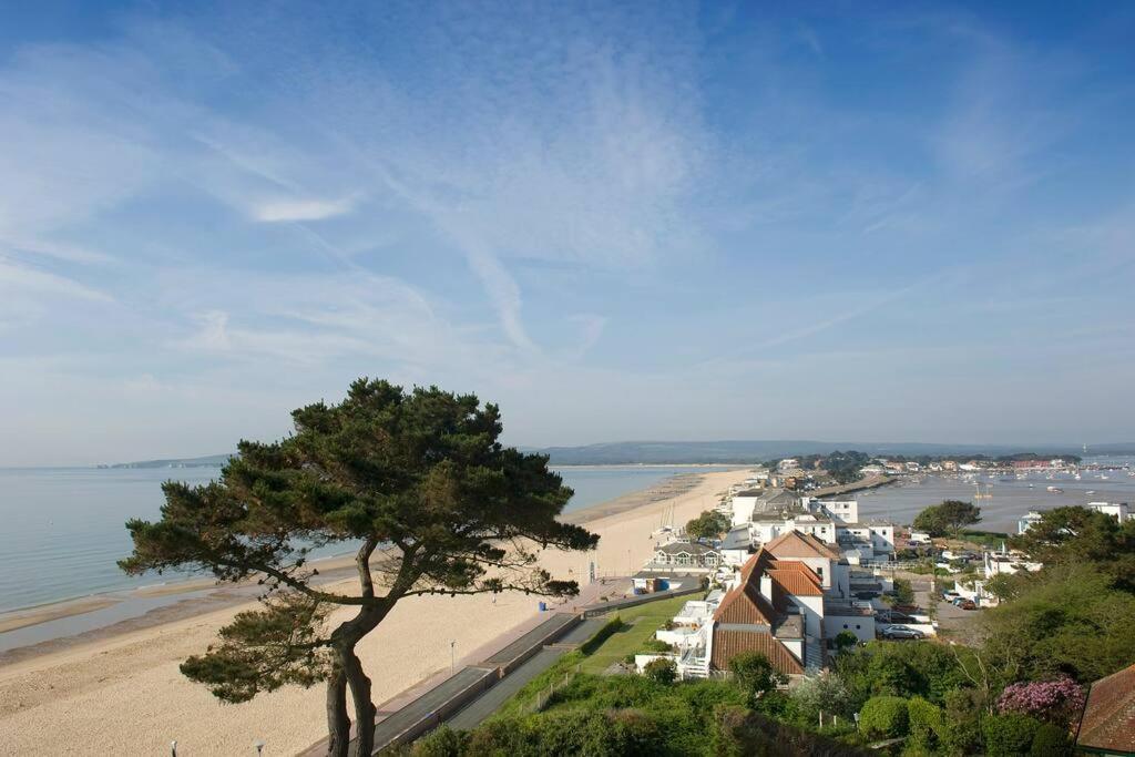 Bournecoast: Lovely Annex With Patio Nr Beach-5286 Bournemouth Exteriör bild
