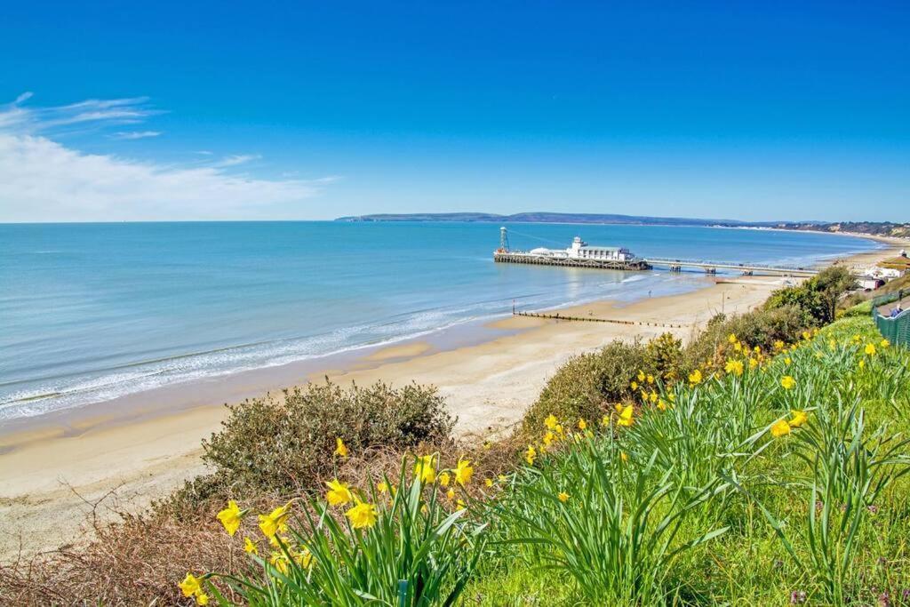 Bournecoast: Lovely Annex With Patio Nr Beach-5286 Bournemouth Exteriör bild